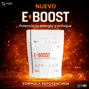 E-BOOST