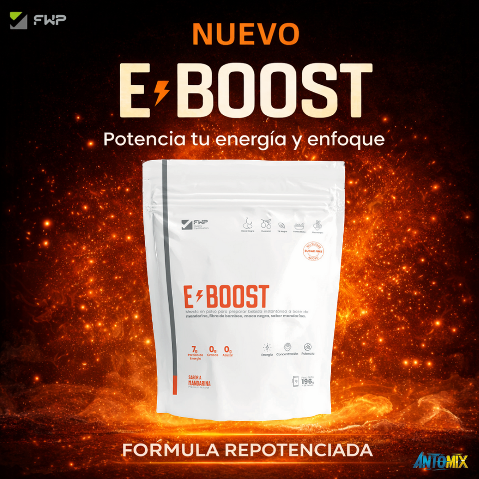 E-BOOST