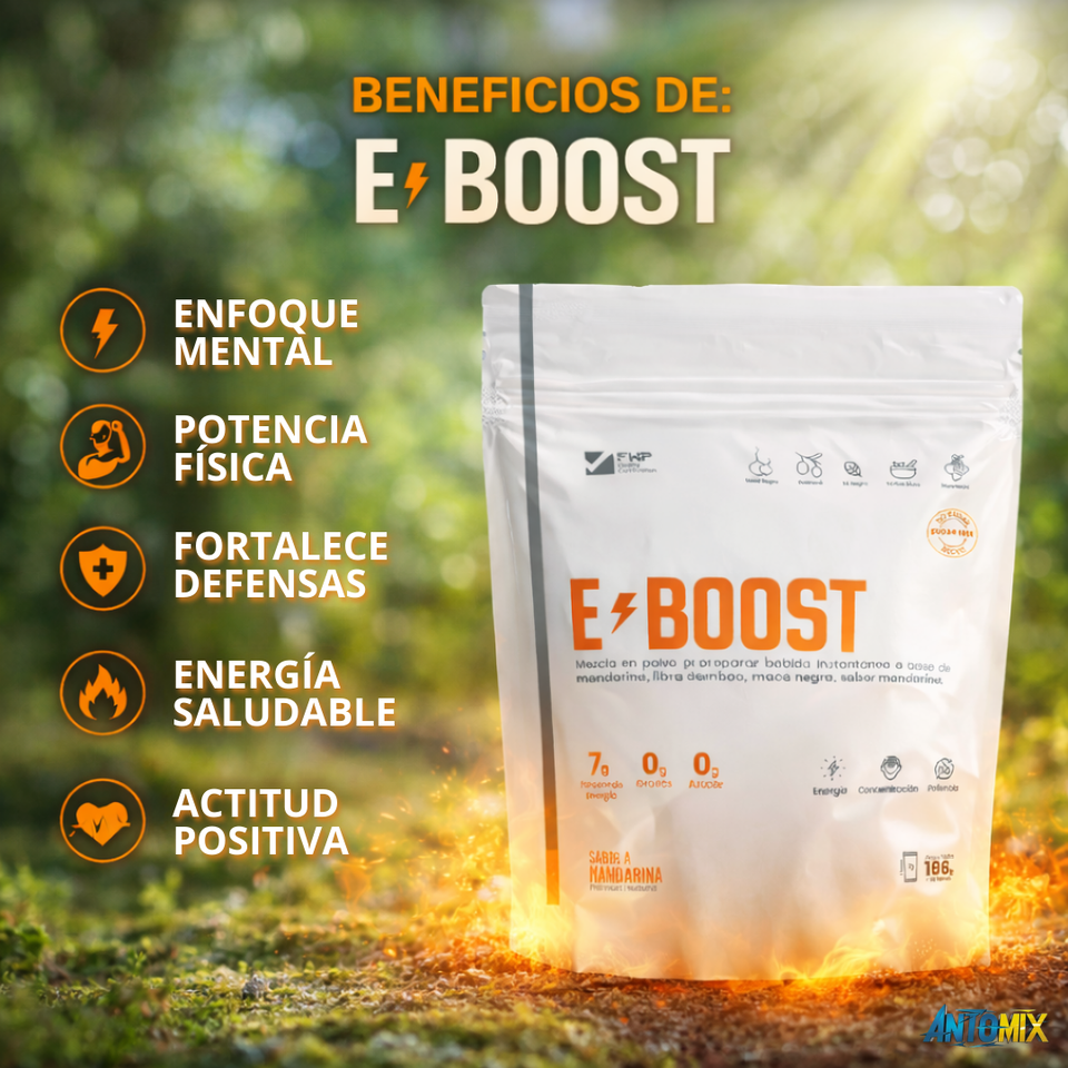 E-BOOST